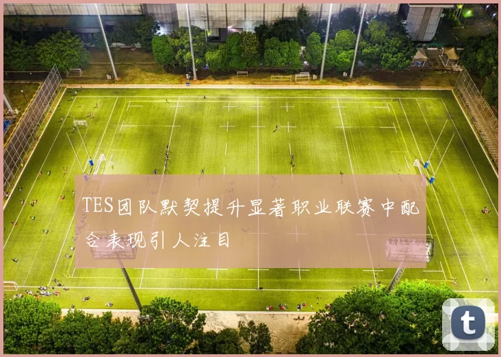 TES团队默契提升显著职业联赛中配合表现引人注目