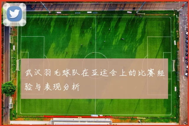 武汉羽毛球队在亚运会上的比赛经验与表现分析